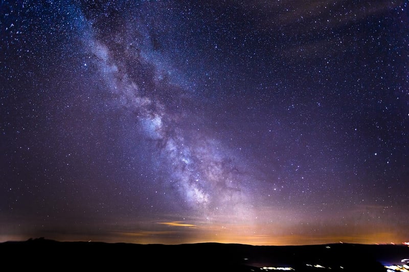Starlit Garden